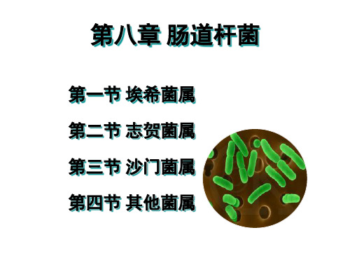 第8章肠道杆菌