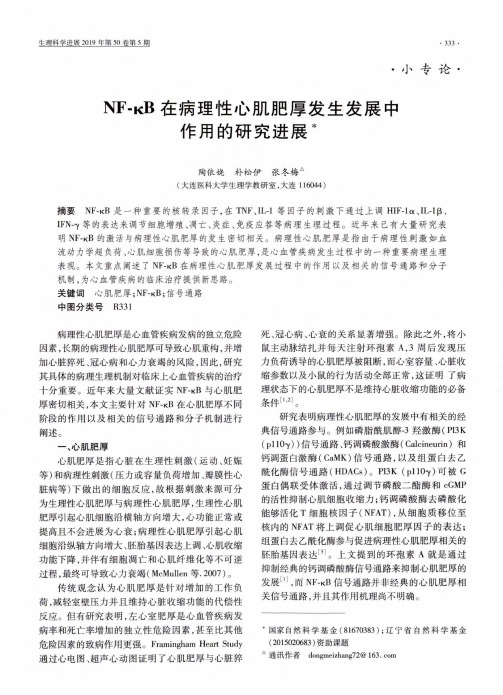 nf-κb在病理性心肌肥厚发生发展中作用的研究进展