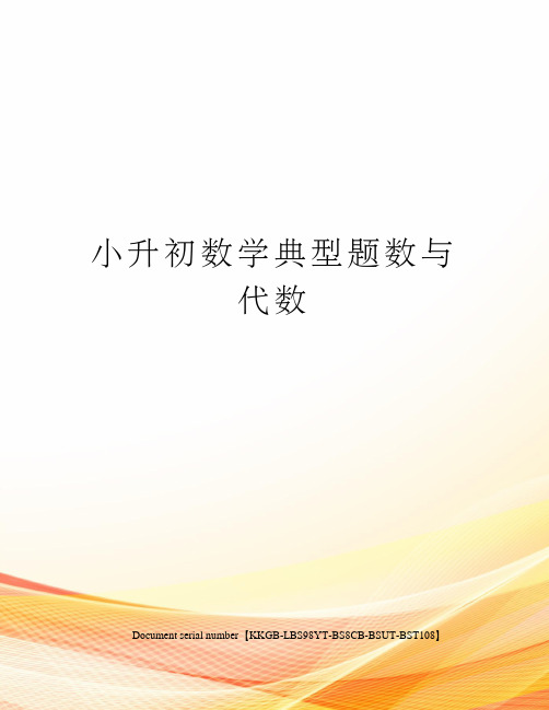 小升初数学典型题数与代数精选版