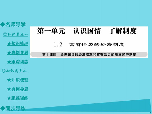 九级政治全册1.2举世瞩目的经济成就和富有活力的基本