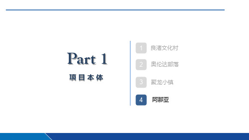 北戴河阿那亚案例研究分析