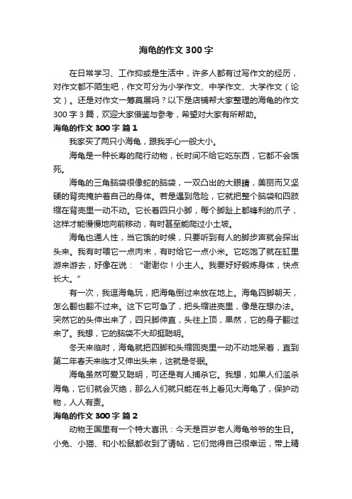 海龟的作文300字