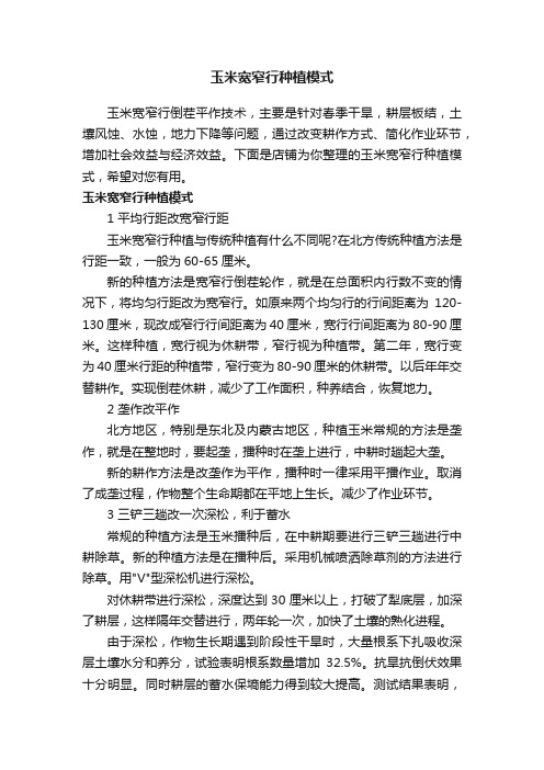 玉米宽窄行种植模式