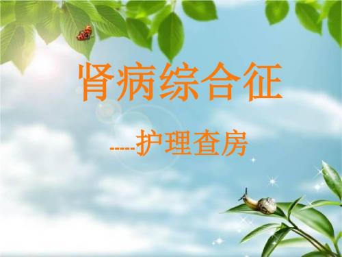 肾病综合征护理查房