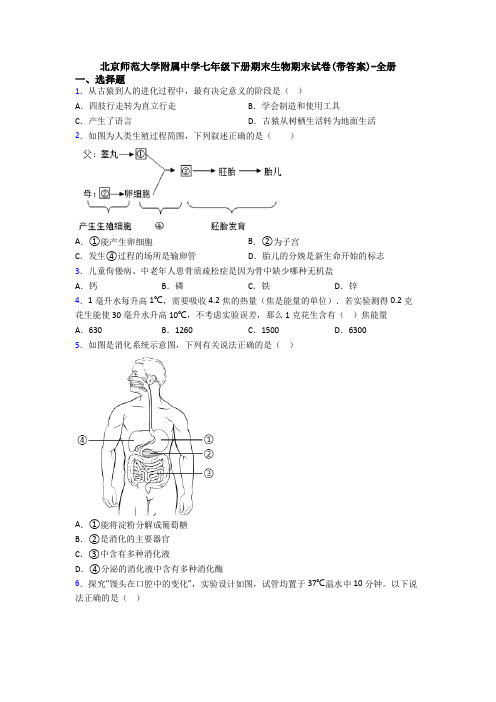 北京师范大学附属中学七年级下册期末生物期末试卷(带答案)-全册
