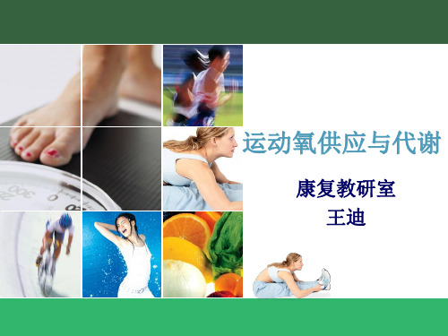 第三章 运动氧供应与代谢