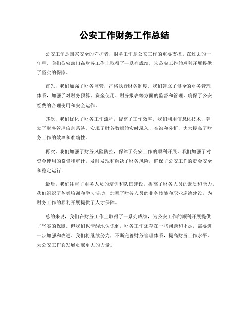 公安工作财务工作总结