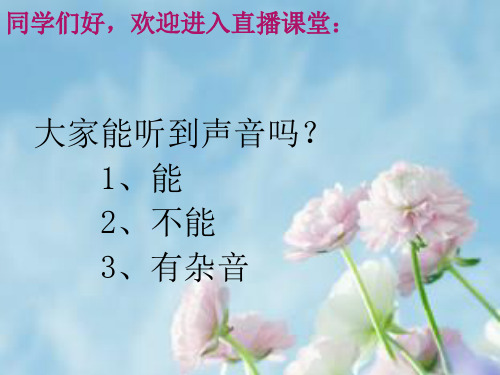 四年级下册科学课件-2.3 花 果实和种子｜教科版(共42张PPT)