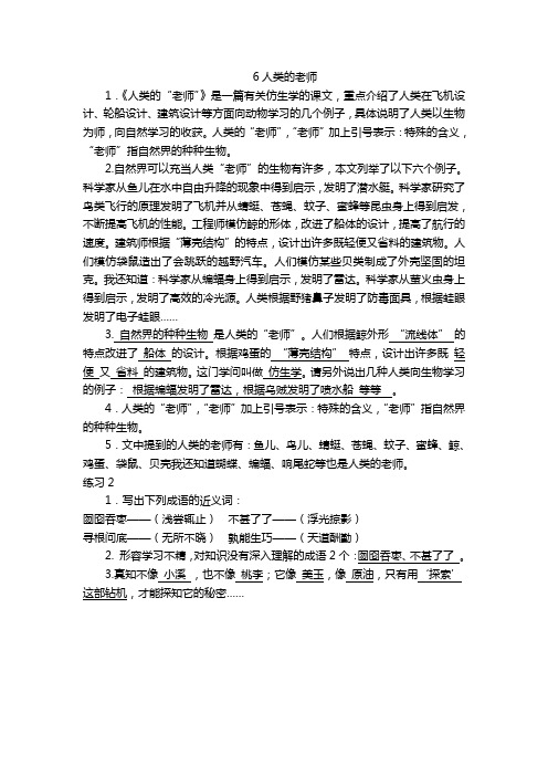 6人类的老师