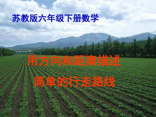 苏教版六年级数学下册描述简单的行走路线ppt课件