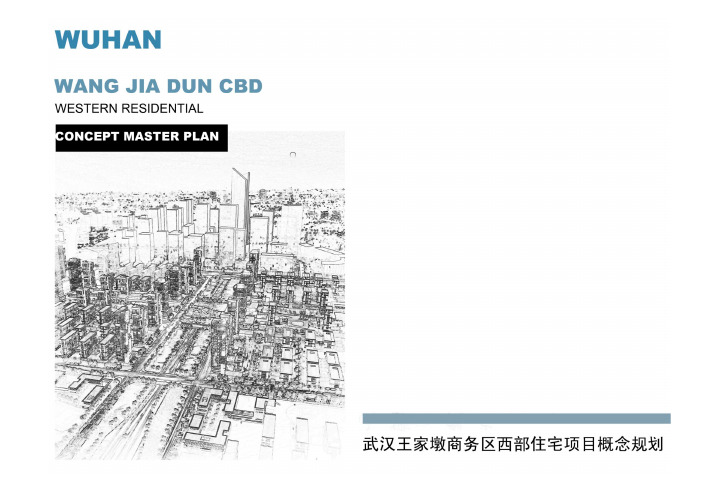 武汉王家墩商务区 西部住宅项目 概念规划