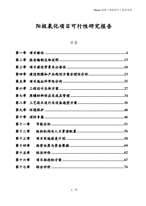 阳极氧化项目可行性研究报告