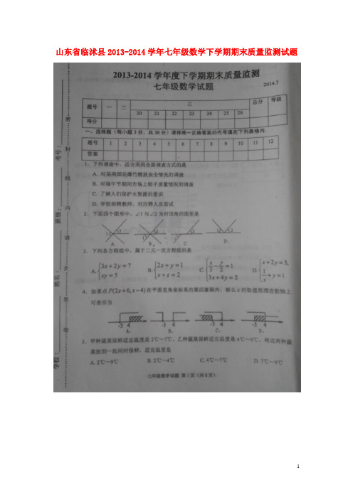 山东省临沭县七年级数学下学期期末质量监测试题(扫描