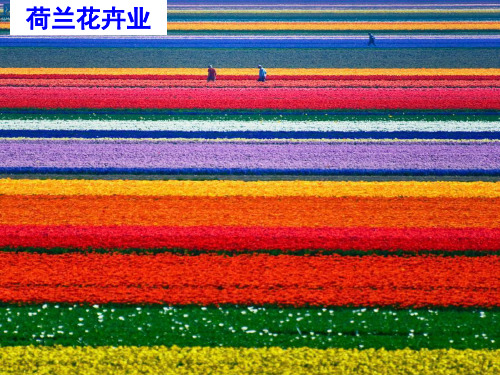 高中地理必修二农业地域的形成