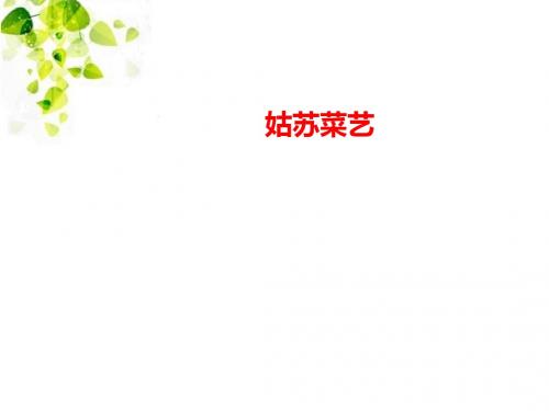 《姑苏菜艺》ppt课件1全面版