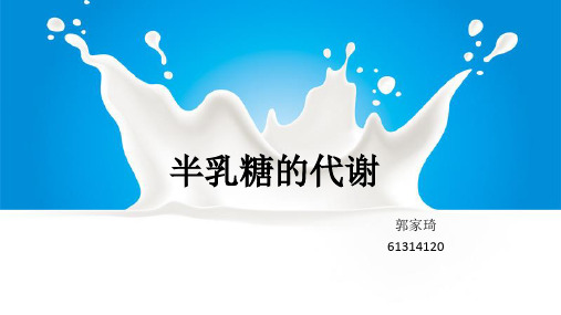 半乳糖的代谢