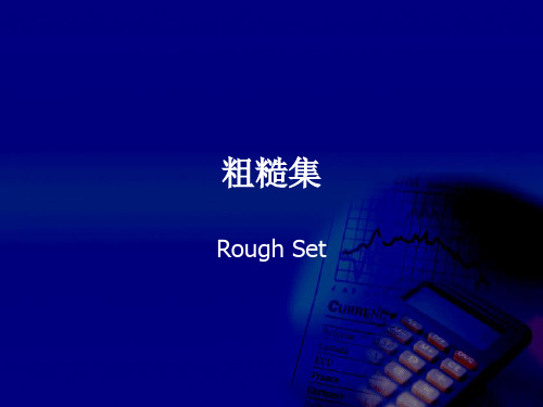 粗糙集new