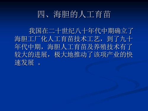 海胆育苗养殖