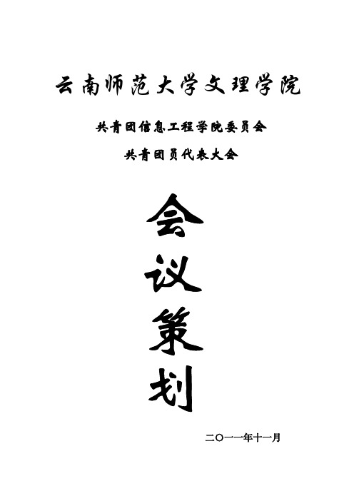 共青团员代表大会策划案