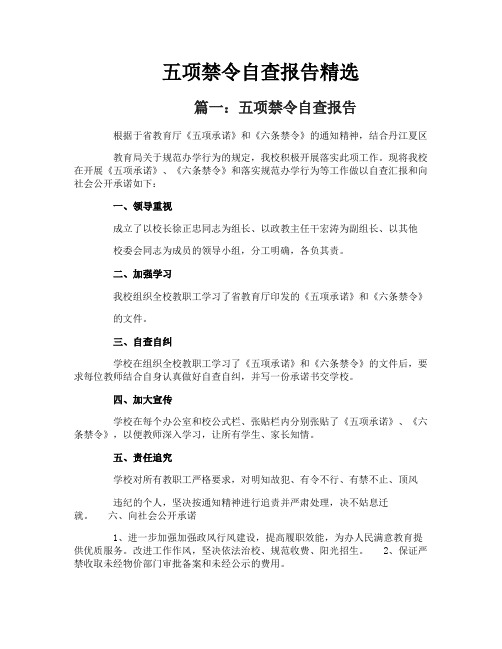 五项禁令自查报告精选