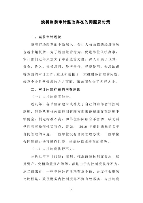 浅析当前审计整改存在的问题及对策