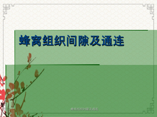 蜂窝组织间隙及通连