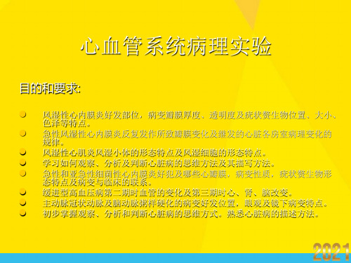 心血管系统病理实验优秀文档