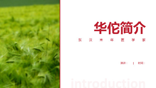 华佗简介PPT-经典的华佗介绍