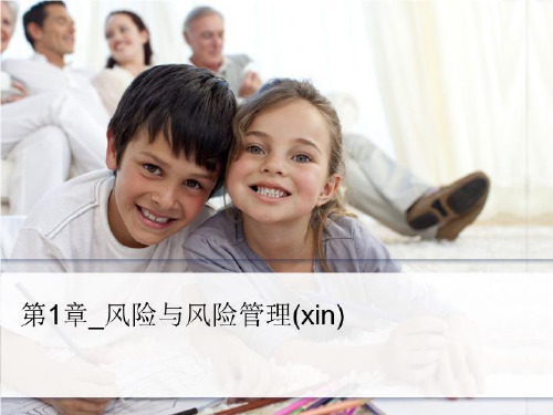 第1章_风险与风险管理(xin)-文稿
