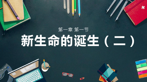 七年级下《新生命的诞生》PPT课件下载浙教版