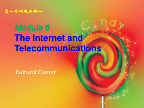外研 高中英语必修4Module6Cultural CornerPPT完美课件