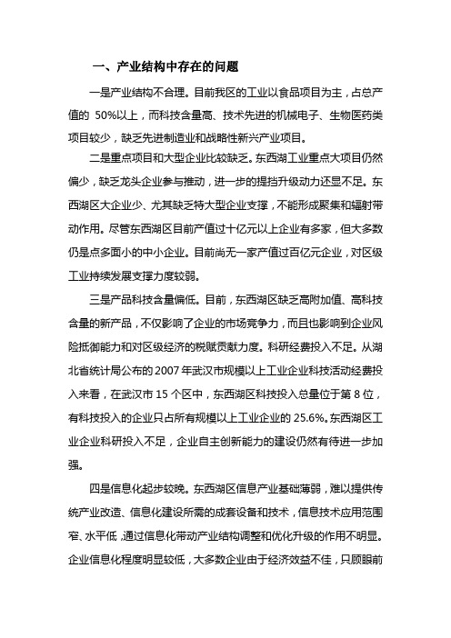 产业结构存在问题及面临机遇