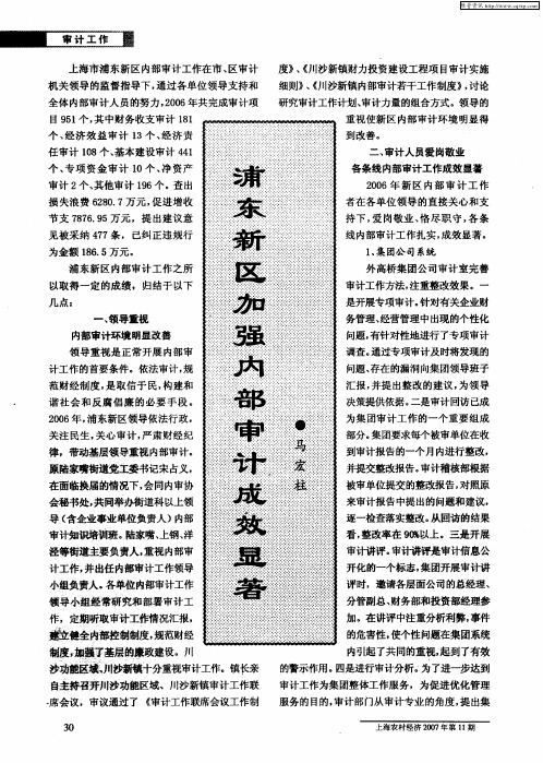 浦东新区加强内部审计成效显著