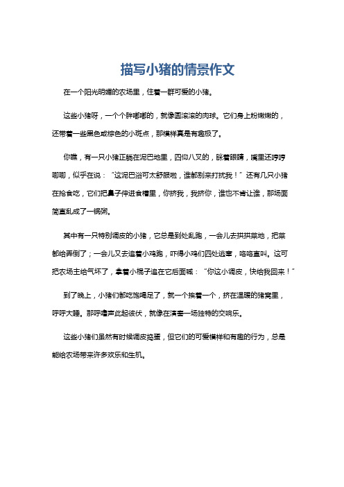 描写小猪的情景作文