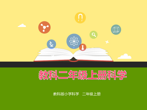 教科版科学二年级上册材料1、我们的生活世界(优秀课件)