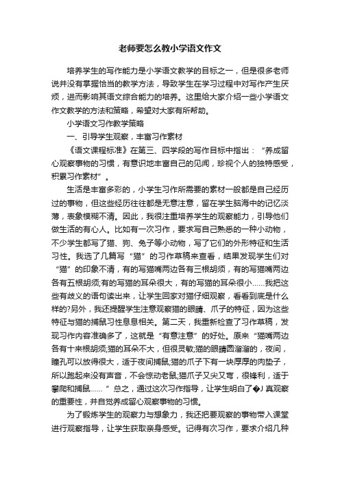 老师要怎么教小学语文作文