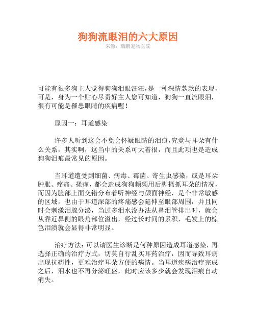 狗狗流眼泪的六大原因