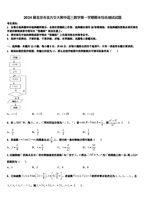 2024届北京市北方交大附中高三数学第一学期期末综合测试试题含解析