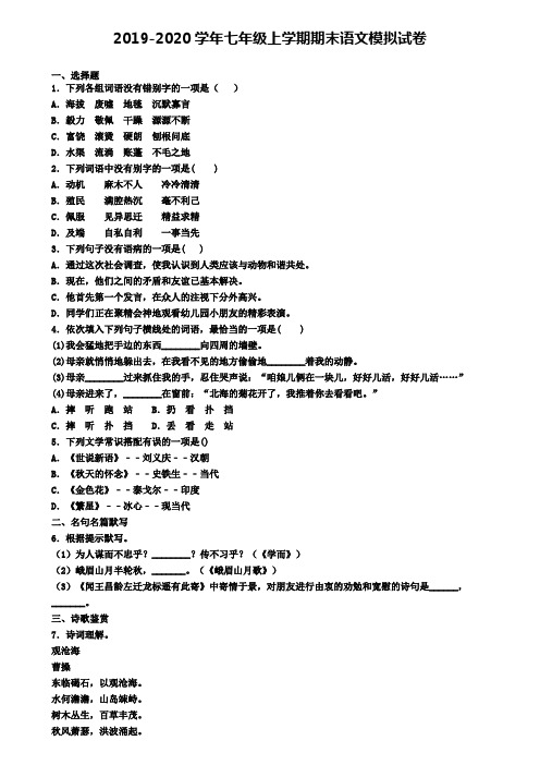 《试卷4份集锦》绍兴市2022届语文七年级(上)期末学业水平测试模拟试题