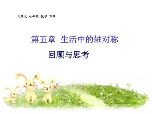第五章 回顾与思考 北师大 七年级 数学 下