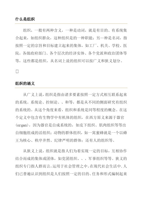 组织 organization 