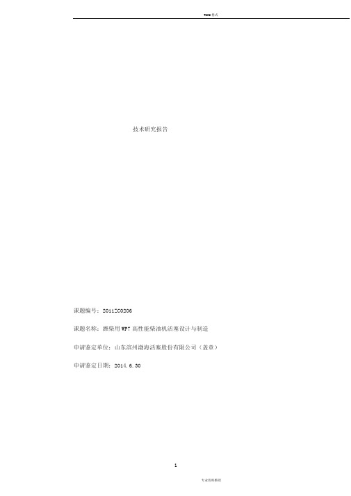技术研究报告