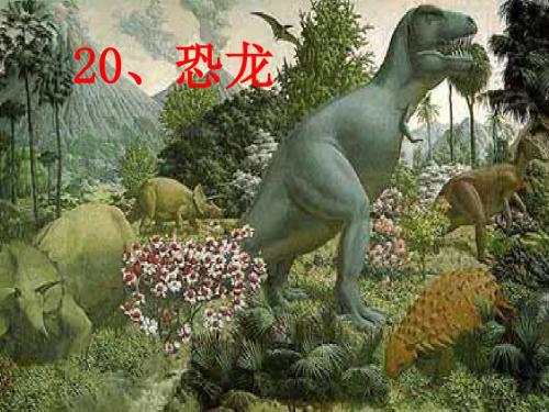 小学三年级下学期语文《恐龙》PPT课件