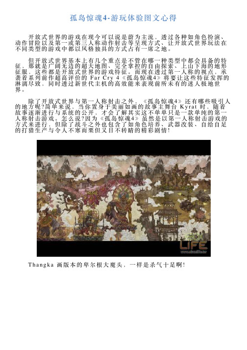 孤岛惊魂4游玩体验图文心得