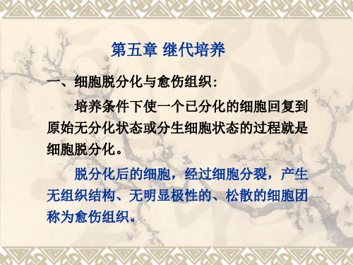 第五章 继代培养
