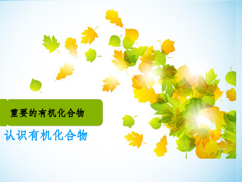 化学高中必修二有机ppt课件