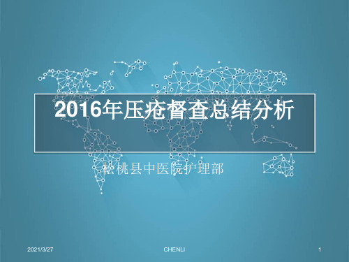 压疮督查总结分析2016年