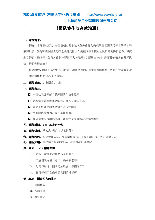 团队协作与高效沟通