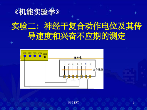 机能实验神经干复合动作电位及其传导速度和兴奋不应期的测定