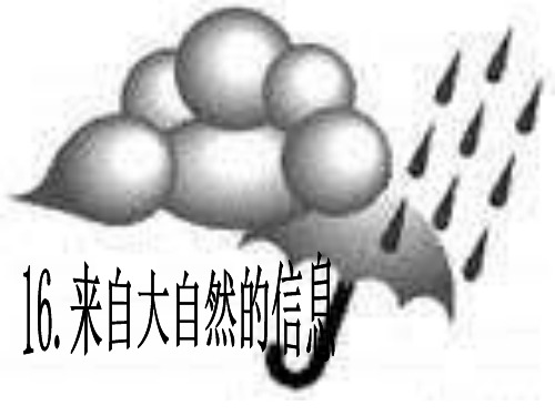 六年级下科学课件来自大自然的信息_青岛版(六年制,三起)